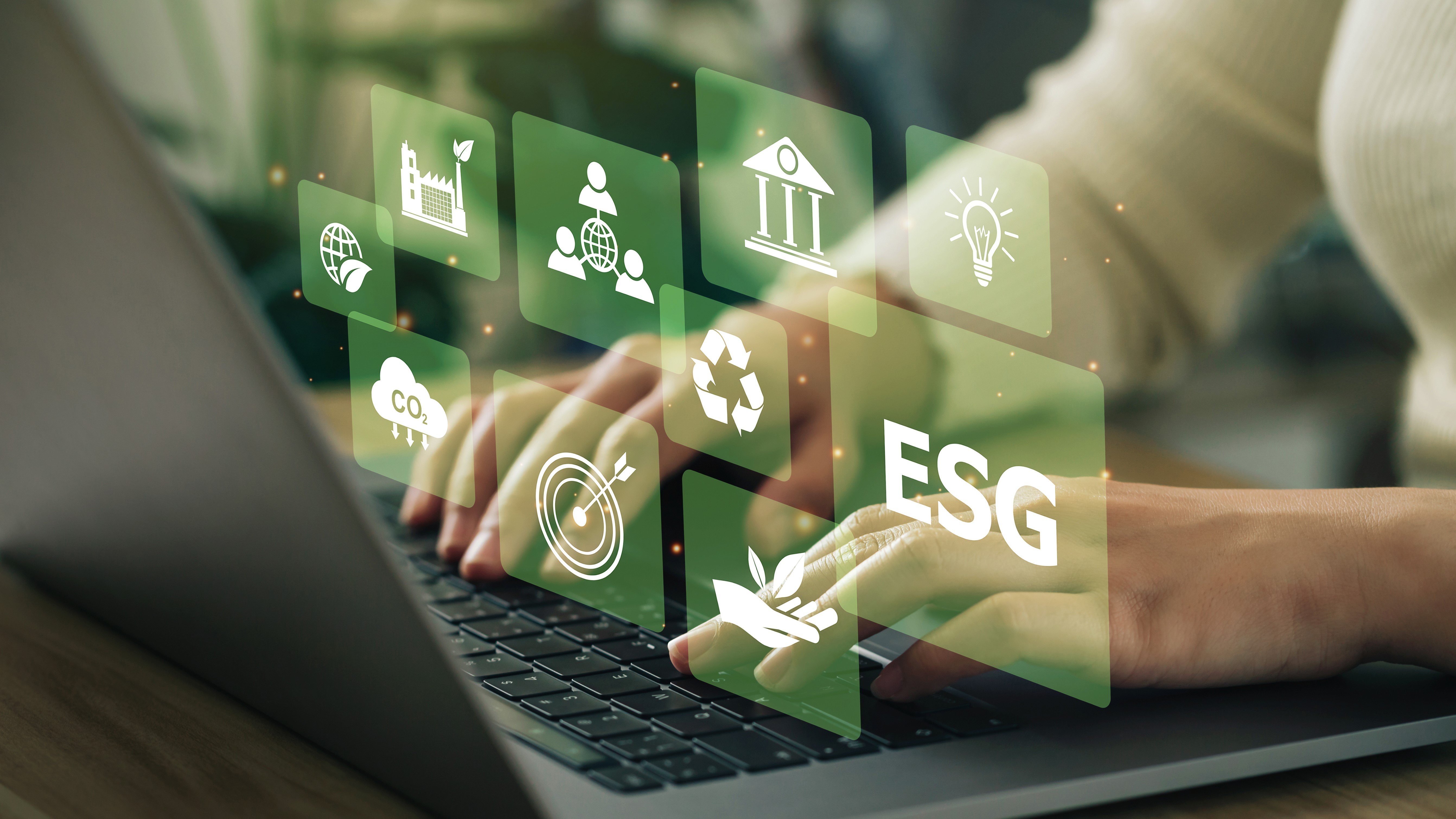 Corporate Sustainability