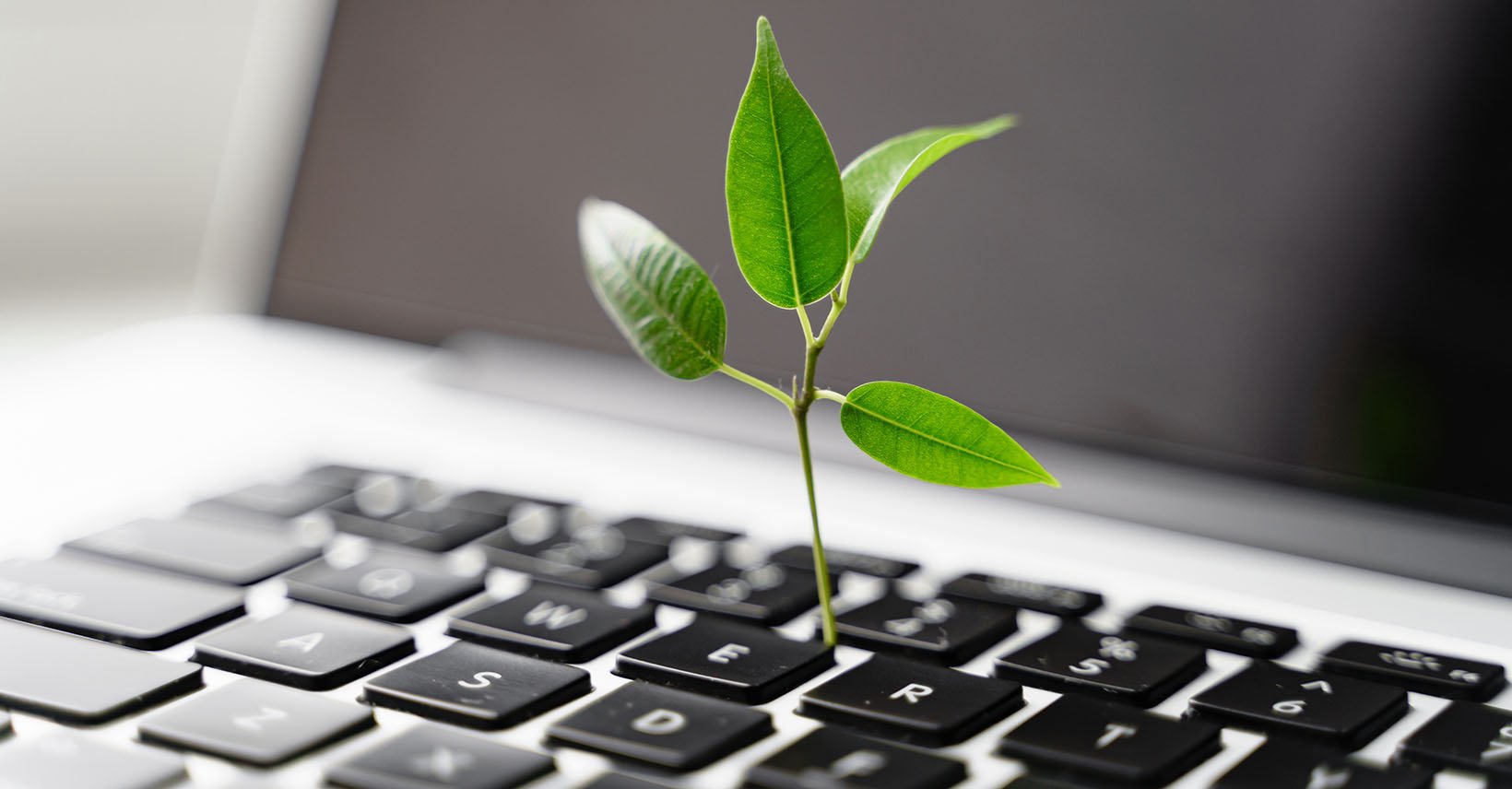 csr_social_media