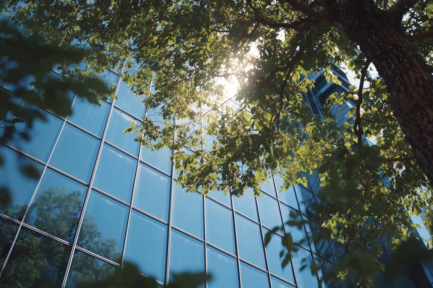 corporate-sustainable-responsability