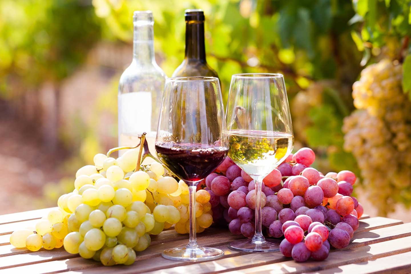 ecofass-wine