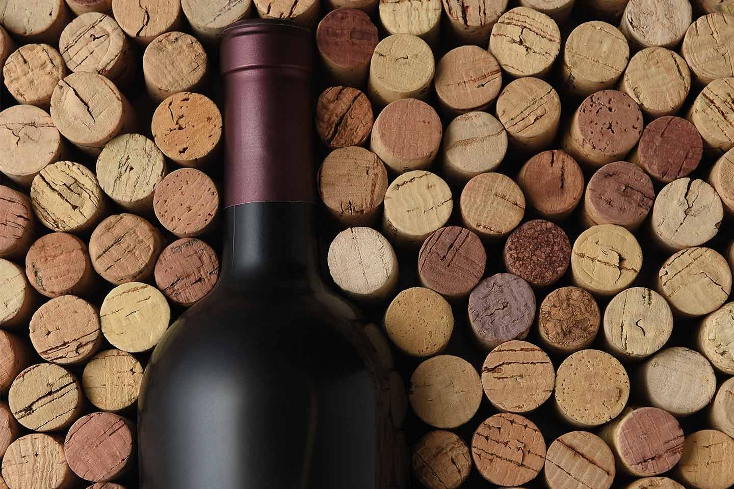 wine-sustainability-index