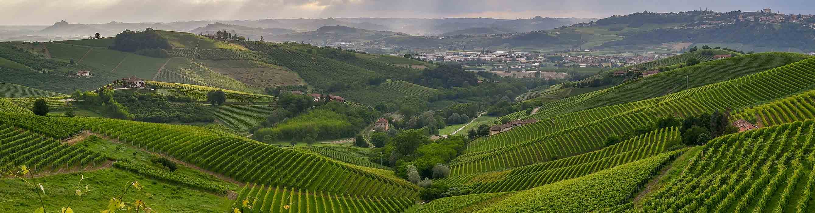 Barbaresc-Piemonte