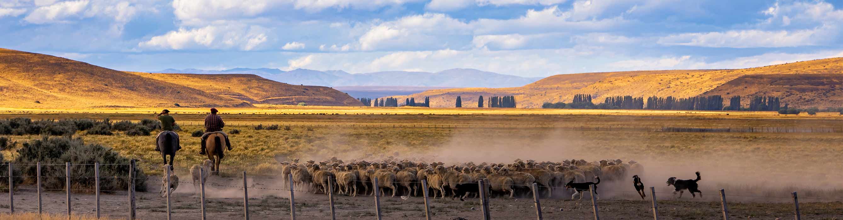 chile