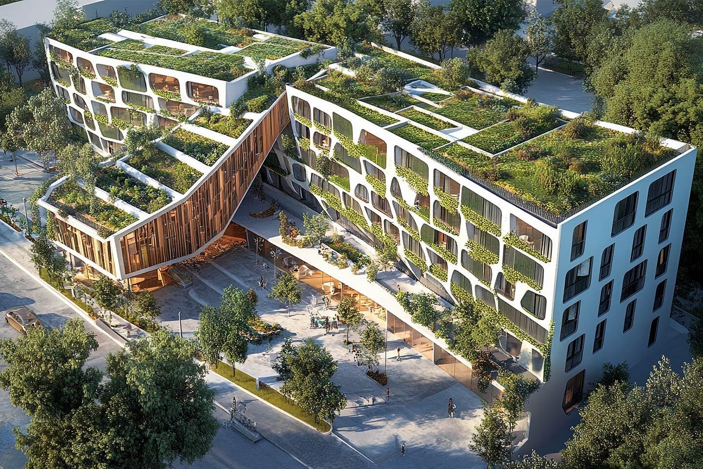 regenerative-transition-project
