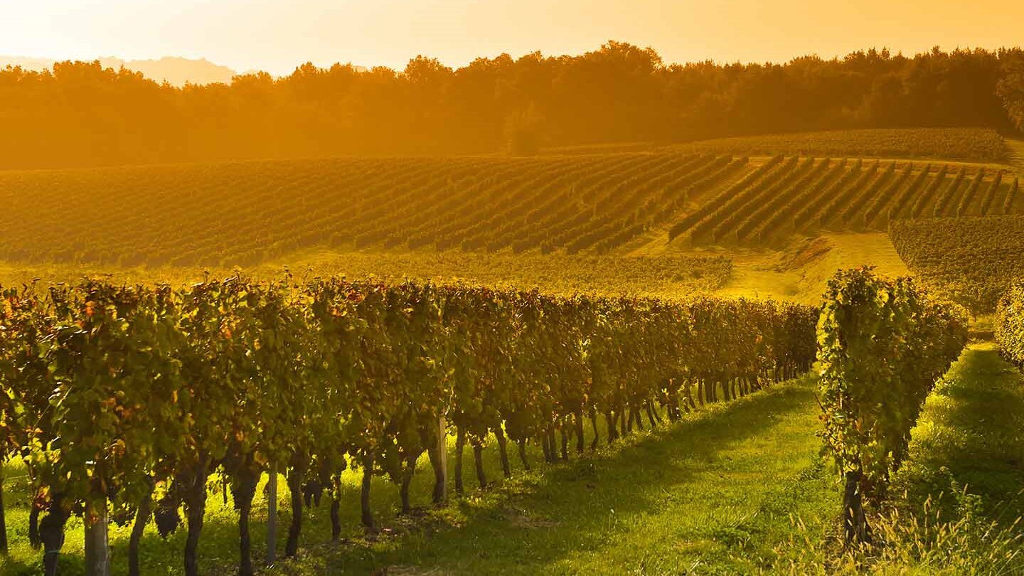 wine-hospitality-management-workshop
